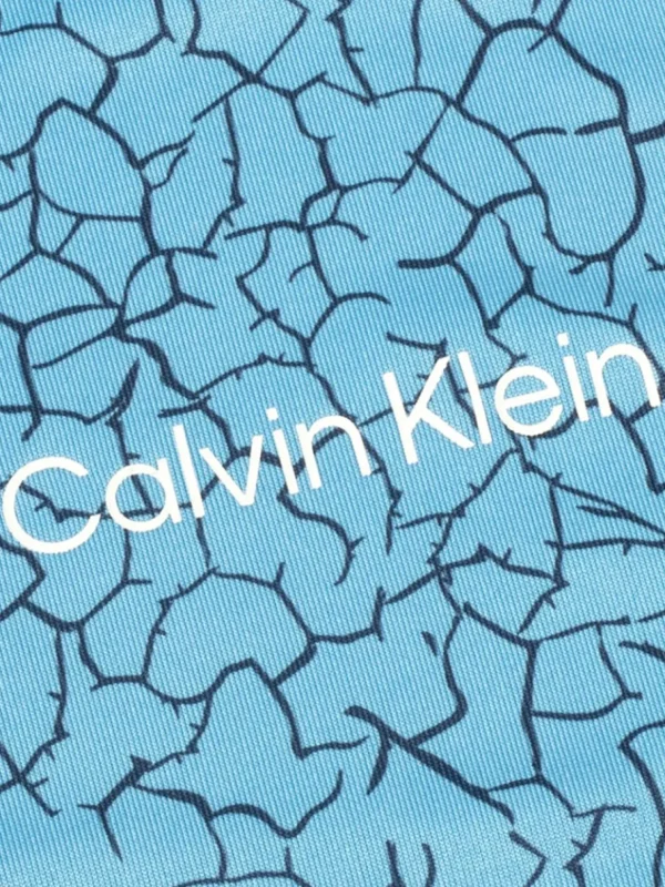 Men Calvin Klein Shirts< Fracture Print Polo - Boy Blue