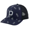 Puma Caps< Pineapple Trucker P Cap - Navy Blazer/Flat Light Grey